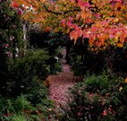 Gulgong B and B - Accommodation Coffs Harbour