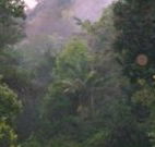 Havans Ecotourist Retreat - - Accommodation Coffs Harbour