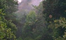 Havans Ecotourist Retreat - - Accommodation Coffs Harbour 0