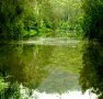 Mangrove Yoga Ashram - - Accommodation Coffs Harbour