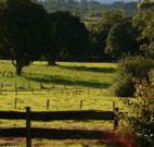 Pines on the Plateau - Accommodation Coffs Harbour