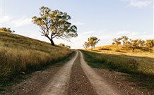 Rosby Guesthouse & Studio - Accommodation Coffs Harbour 4