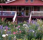 Rose Patch Bed and Breakfast - Accommodation Coffs Harbour