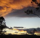 Silkwood B and B - Accommodation Coffs Harbour