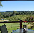 The Shed B and B - Accommodation Coffs Harbour
