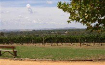 The Vineyard Motel - Accommodation Coffs Harbour 1