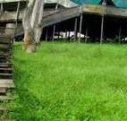 Snowy Valley Resort - Accommodation Coffs Harbour