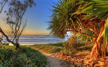 Andrea's Houses - Frangipani House - Accommodation Coffs Harbour 4