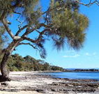 David Jones Cottage - Accommodation Coffs Harbour