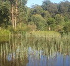 Fosterton Lodge Retreat - Accommodation Coffs Harbour