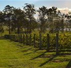 Hidden Treasure - Accommodation Coffs Harbour