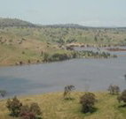 In The Heart Of Husky - Accommodation Coffs Harbour