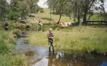 Milton Country Retreat - Accommodation Coffs Harbour 1