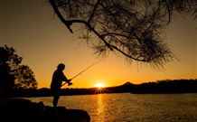 Oakbourne Cottage, Gingers Creek - Accommodation Coffs Harbour 5