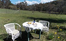 Pinegrove Cottage - Accommodation Coffs Harbour 5