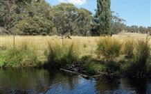 Pinegrove Cottage - Accommodation Coffs Harbour 3