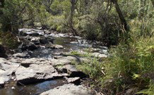 Pinegrove Cottage - Accommodation Coffs Harbour 4