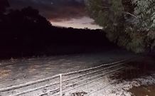 Pinegrove Cottage - Accommodation Coffs Harbour 7