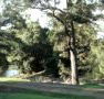 Rustic Caravan Park - Accommodation Coffs Harbour