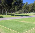 Spotted Gums on Hermitage - Accommodation Coffs Harbour