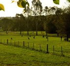 Stone Cottage Mittagong - Accommodation Coffs Harbour