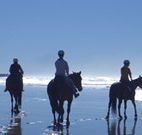 The Hayloft - Accommodation Coffs Harbour