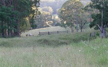 White Sands Cottage - Accommodation Coffs Harbour 2