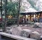 Williams River Holiday Park - Accommodation Coffs Harbour