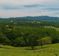 Nightcap Cottage - Accommodation Coffs Harbour