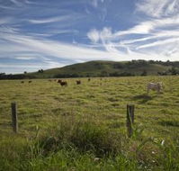 Annas Retreat - Accommodation Coffs Harbour