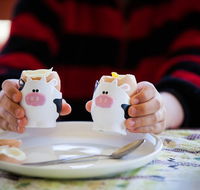 Cosy Cow Farmstay Bed and Breakfast - Accommodation Coffs Harbour