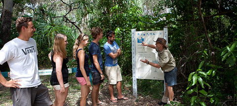 Magnetic Island YHA - Accommodation Coffs Harbour 8