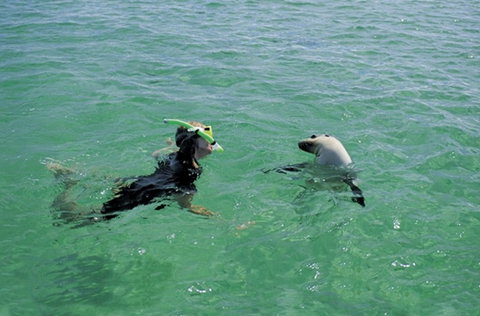 Coodlie Park - Port Kenny - Venus Bay - Accommodation Coffs Harbour 3