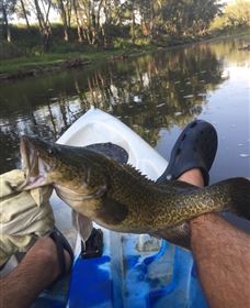  Accommodation Coffs Harbour