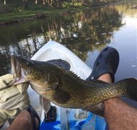 Dumaresq Homestead - Accommodation Coffs Harbour