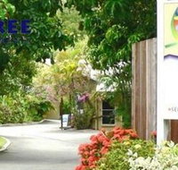 At The Mango Tree - Accommodation Coffs Harbour