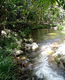 Sweetwater Lodge - Accommodation Coffs Harbour 3