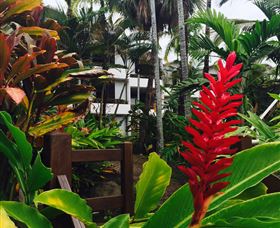 Club Tropical Resort Port Douglas - Accommodation Coffs Harbour 2