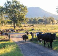 Tommerups Dairy Farmstay - Accommodation Coffs Harbour