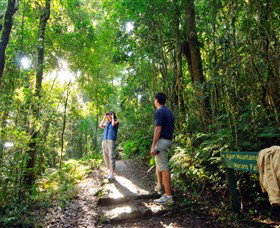 O'Reilly's Rainforest Retreat - Accommodation Coffs Harbour 2