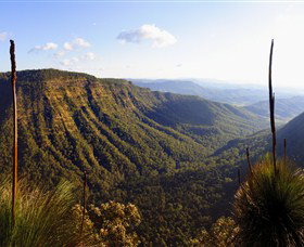 O'Reilly's Rainforest Retreat - Accommodation Coffs Harbour 3