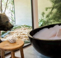 Jamala Wildlife Lodge - Accommodation Coffs Harbour