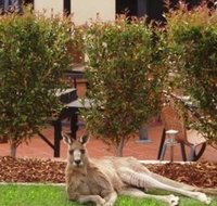 Alpha Canberra Hotel and Apartments - Accommodation Coffs Harbour