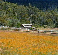 Pender Lea Alpine Guest Accommodation - Accommodation Coffs Harbour
