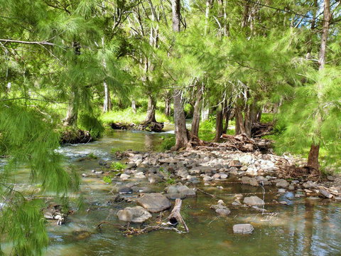 Cockadilly Escape - Accommodation Coffs Harbour 0
