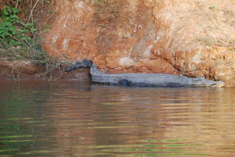 Mount Nancar Wilderness Retreat - Accommodation Coffs Harbour 3