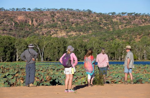 Mount Nancar Wilderness Retreat - Accommodation Coffs Harbour 5