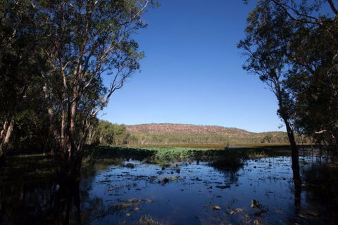 Mount Nancar Wilderness Retreat - Accommodation Coffs Harbour 6