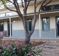 The Grape and Olive in Willunga - Accommodation Coffs Harbour