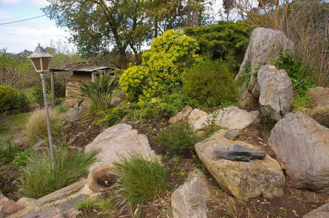 Naimanya Cottage - Accommodation Coffs Harbour 4